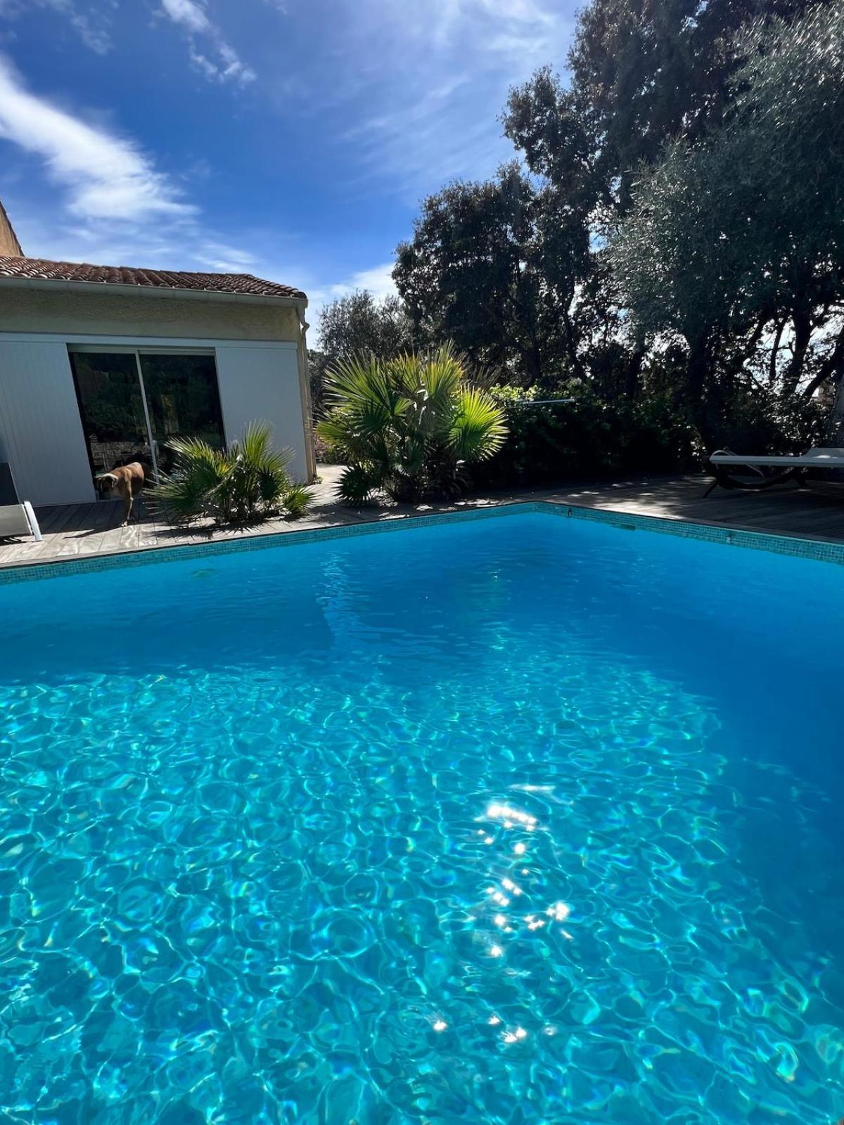 Le Havre De Paix En Garrigue 4 Chambres 3 Sdb Piscine Bezouce Exteriör bild